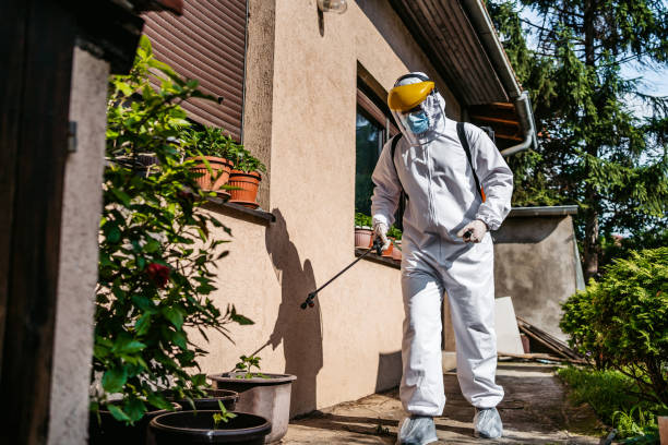 Best Wasp Removal Services  in Forest Hills, MI