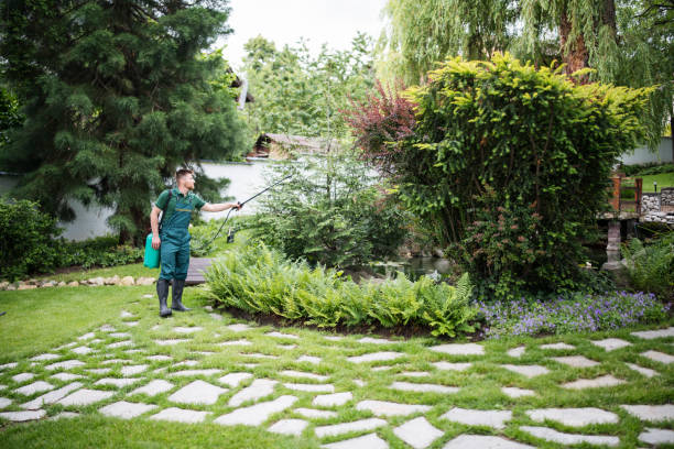 Best Best Pest Control Companies  in Forest Hills, MI