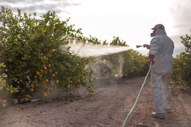 Best Bed Bug Extermination  in Forest Hills, MI