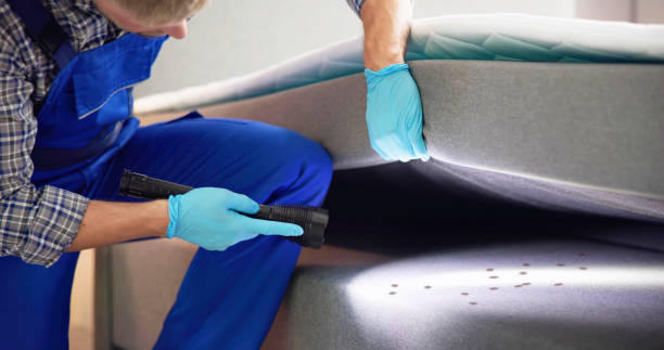 Best Pest Removal Services  in Forest Hills, MI