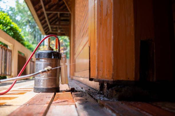 Best Rat Extermination Near Me  in Forest Hills, MI