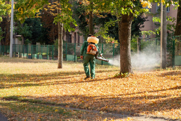 Best Best Pest Control Companies  in Forest Hills, MI