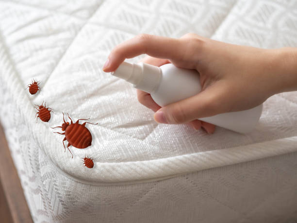 Best Exterminator Services  in Forest Hills, MI