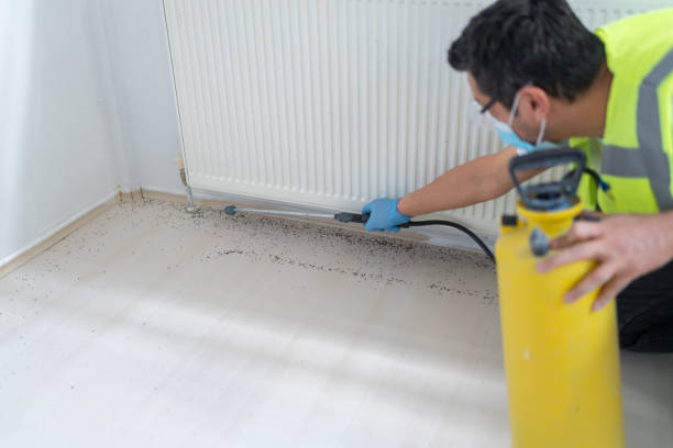 Best Local Pest Control Services  in Forest Hills, MI